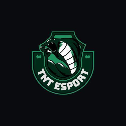 TNT E SPORT