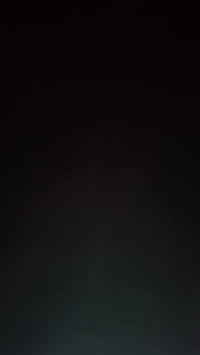 MY lilia is one#2007