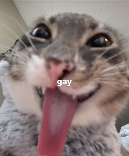 8mfy96n2pq@privaterelay.appleid.com