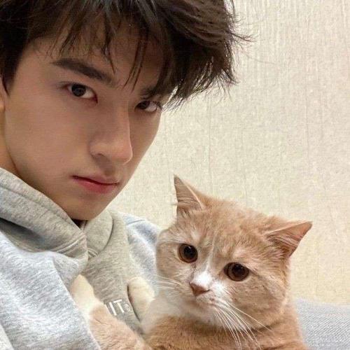 Revént 청록색#393767893#4048