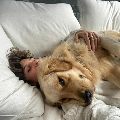 Revént 청록색#393767893#4048