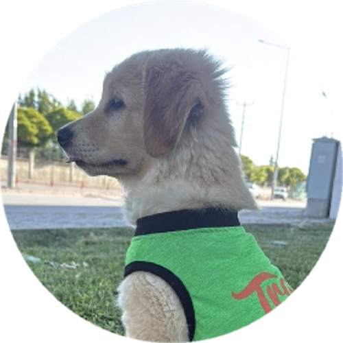 ¹DejavuBUNY