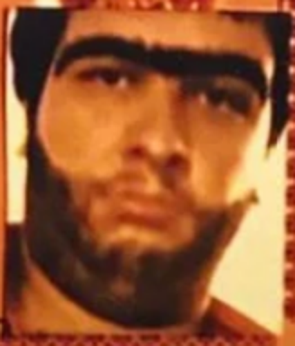 konuşan eşek#shrek