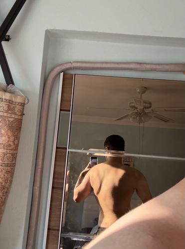 Elias quadrifolia.#1922483377#4531