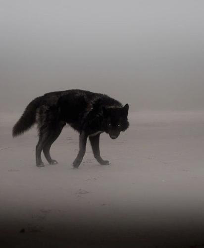 希望ㅤ#1522015763#(4438)