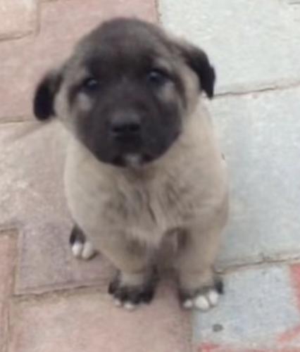 坚忍的精神#1642028120#4466