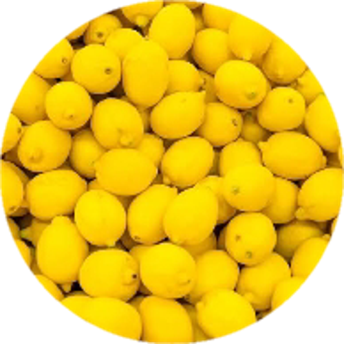 MEVLÜTRamos