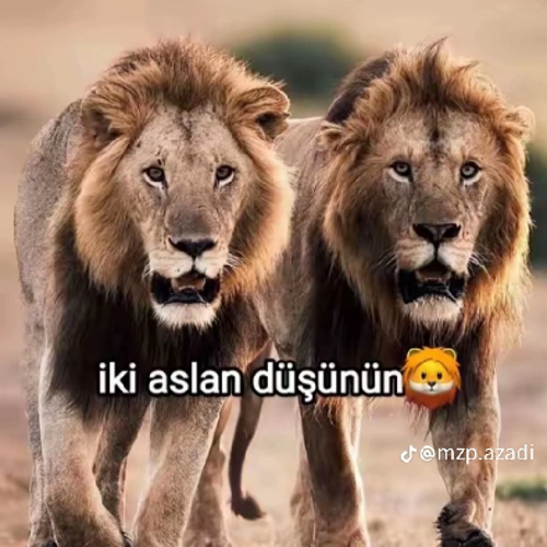 MEHMETGS76