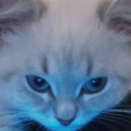 SUNG JİN WOO 戦争#SOLO