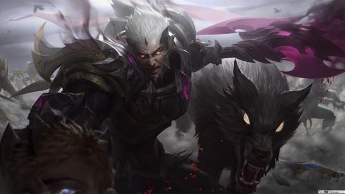 ØWNER DARİUS#DARİ