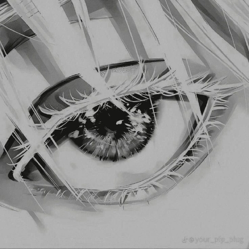 『PTWxHARUN』