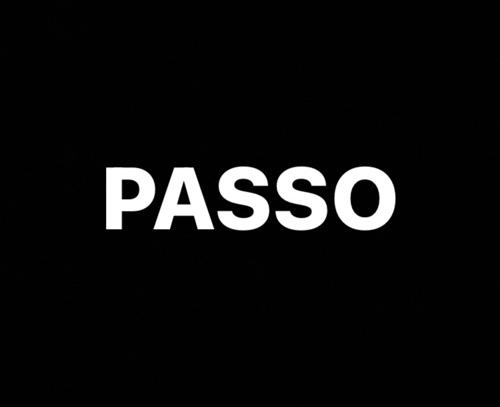 LGNPasso