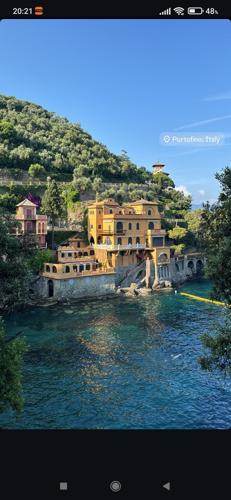 Shuichi#1476634983#4424