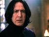 Turbanl%u0131Sage#snape