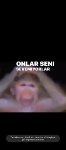 In my head#854011758#4297