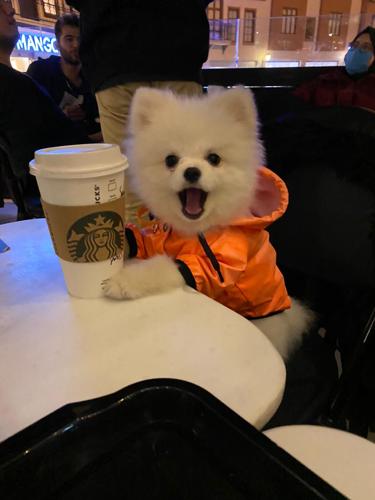 Unique.#Unique.#4045