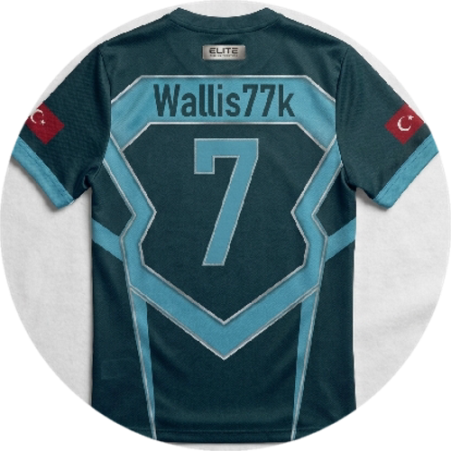 Wallis77k