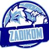 blizZADİKOM
