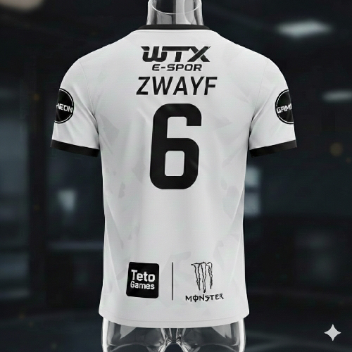 PAİN×Zwayf