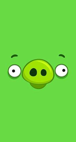 JAJAJAJAJAJJAJAJ#TR1