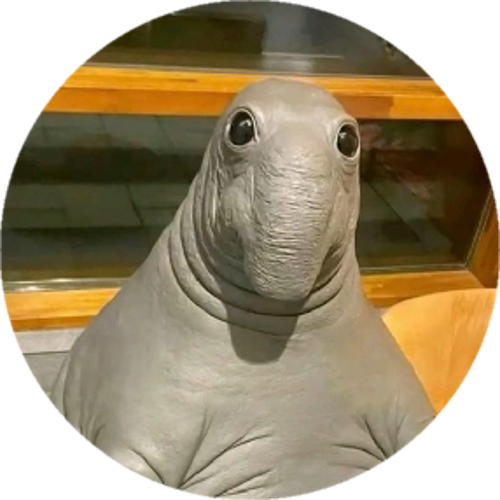 FRTMATADORxxL