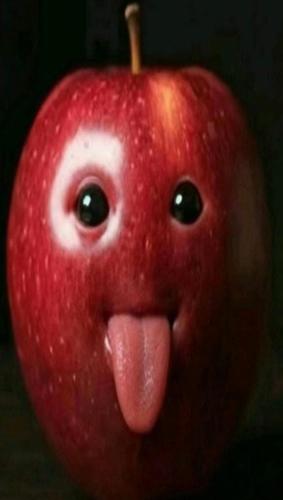 Acerbay#497670537#4219