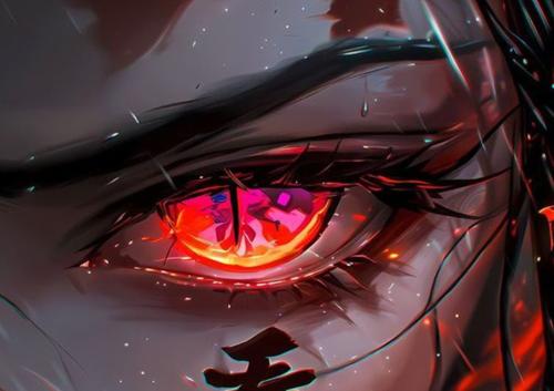 akin.eray68@gmail.com