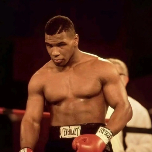 alicantetorastgele33@gmail.com