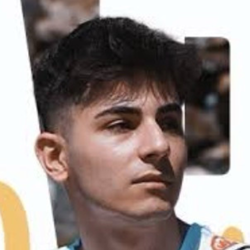 altinokm959@gmail.com