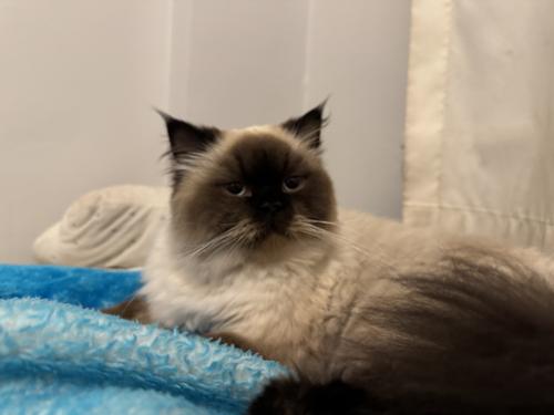 altuntaselif12@gmail.com