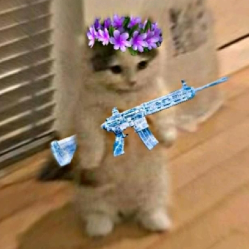 amirmehrshadsediqi@gmail.com