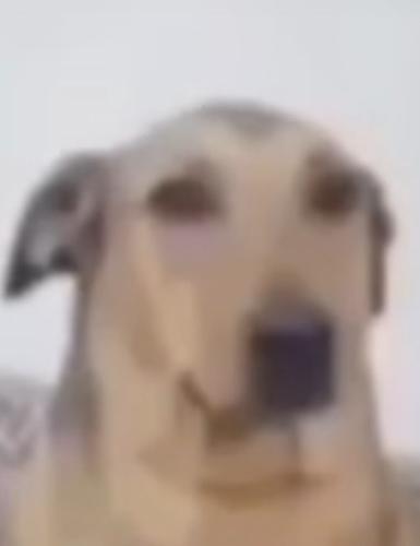 anarbadalov33@gmail.com