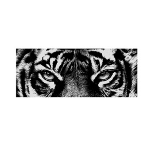 arasozbaykiz17@icloud.com