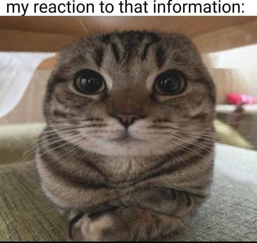 arda22kyats@gmail.com