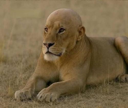 discord 73carlos#add