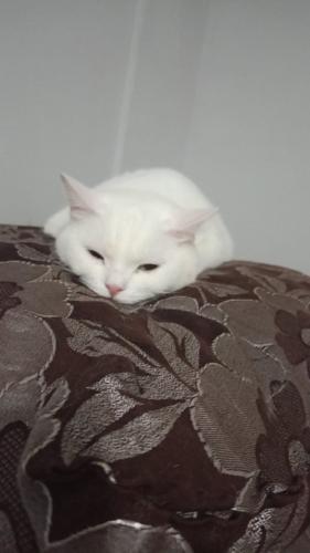 H2Ocuk#822412243#4287