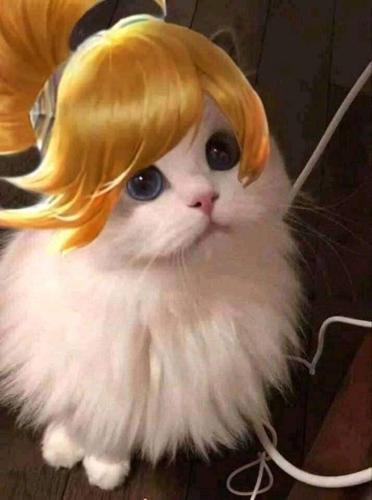 SaRıToP#266333236#4057