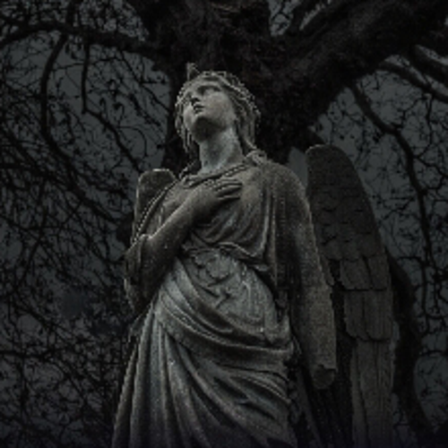 ayazcakan56@gmail.com