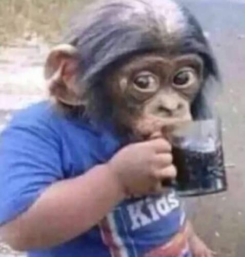 bk9tqcft2h@privaterelay.appleid.com