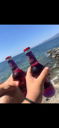 bozkurtb596@gmail.com