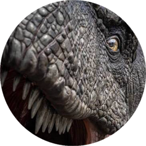๛R̴OWメTREX