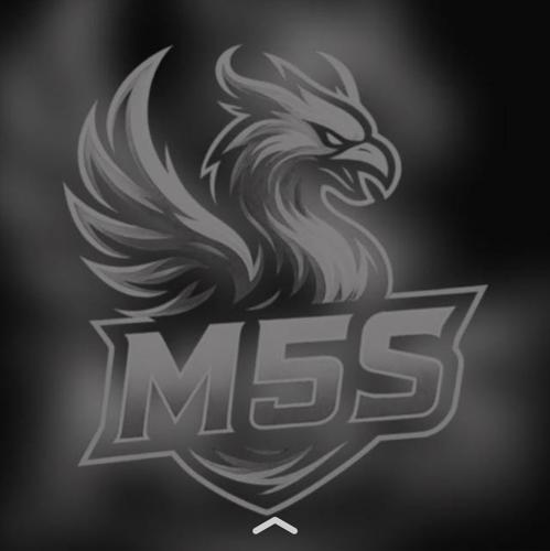 m5sRay1zn