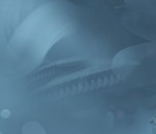 buren6969@hotmail.com