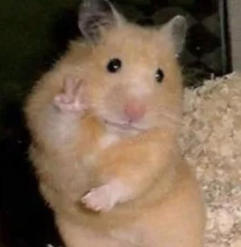 我的命运 Kirei#Kirem