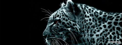 celikvedat054@gmail.com