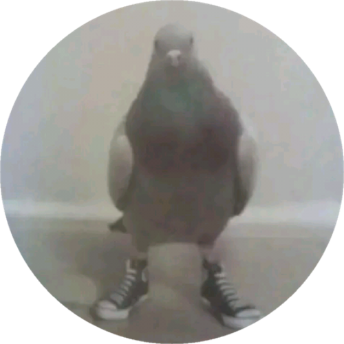 cihanbenek0@gmail.com