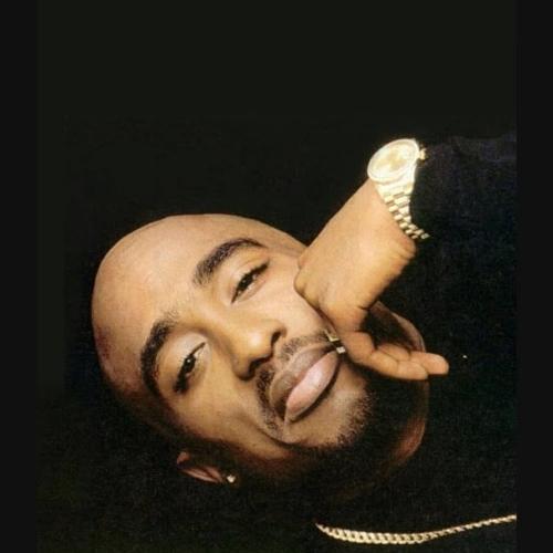 cyhper.195@gmail.com