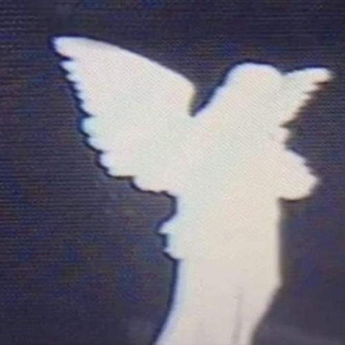 eefess12345@gmail.com