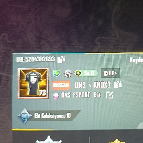 efeakyar1661@gmail.com