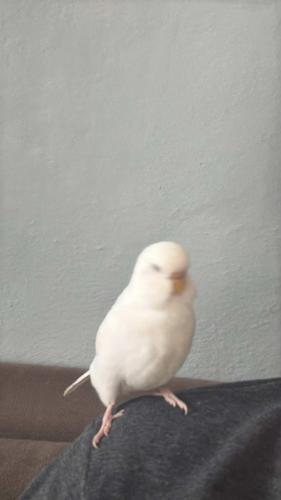 efeatanerk@gmail.com